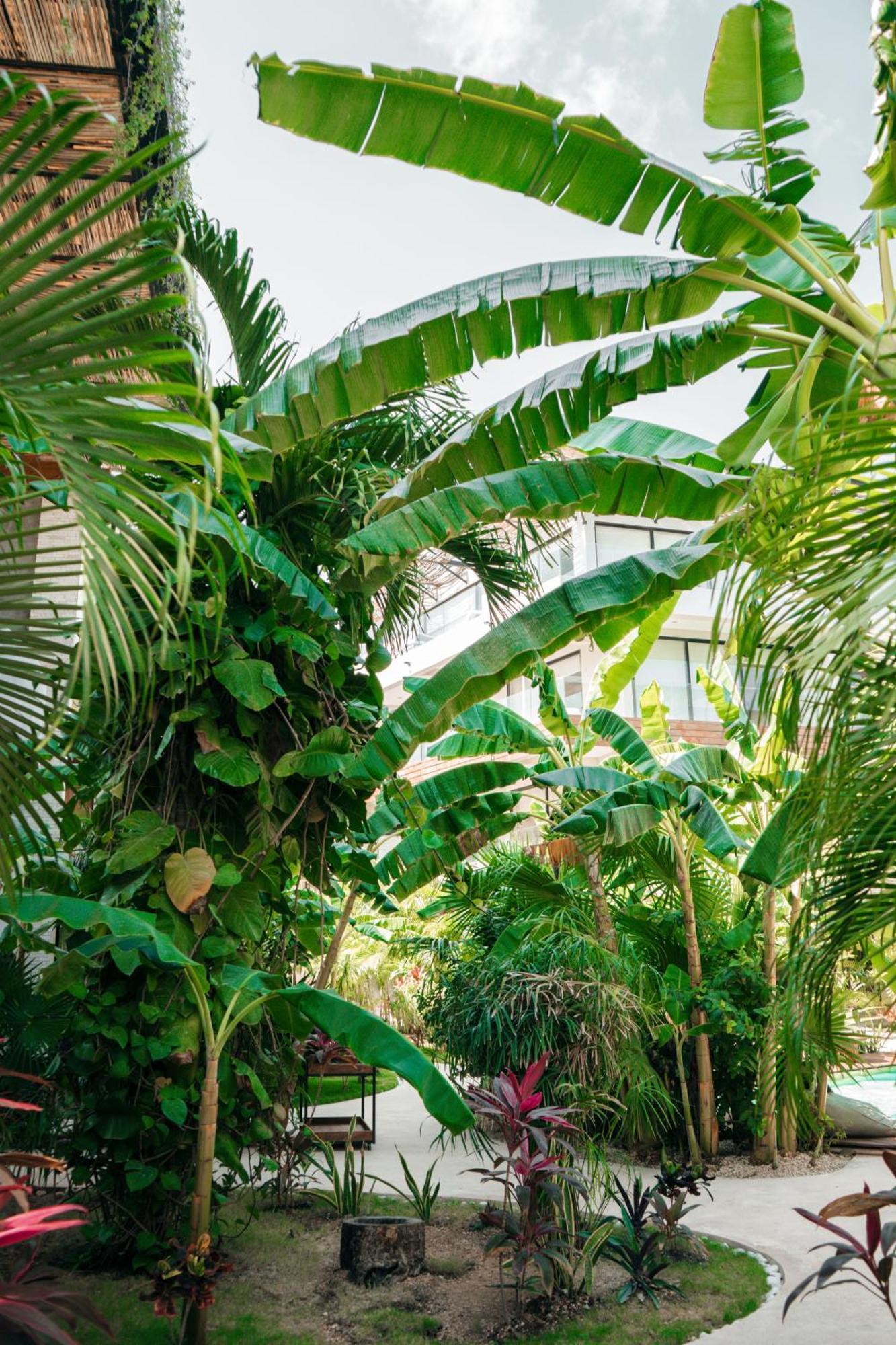 トゥルムKinah Retreat - Exclusive Boho Tropical Escapeアパートメント エクステリア 写真